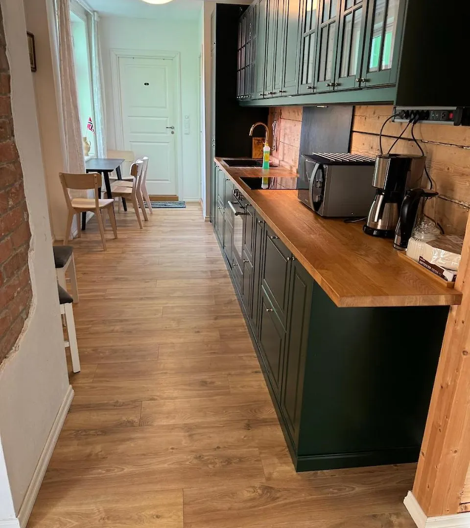 Lake View Apartment In Center Of Bergen - 3 Bedrooms Norway