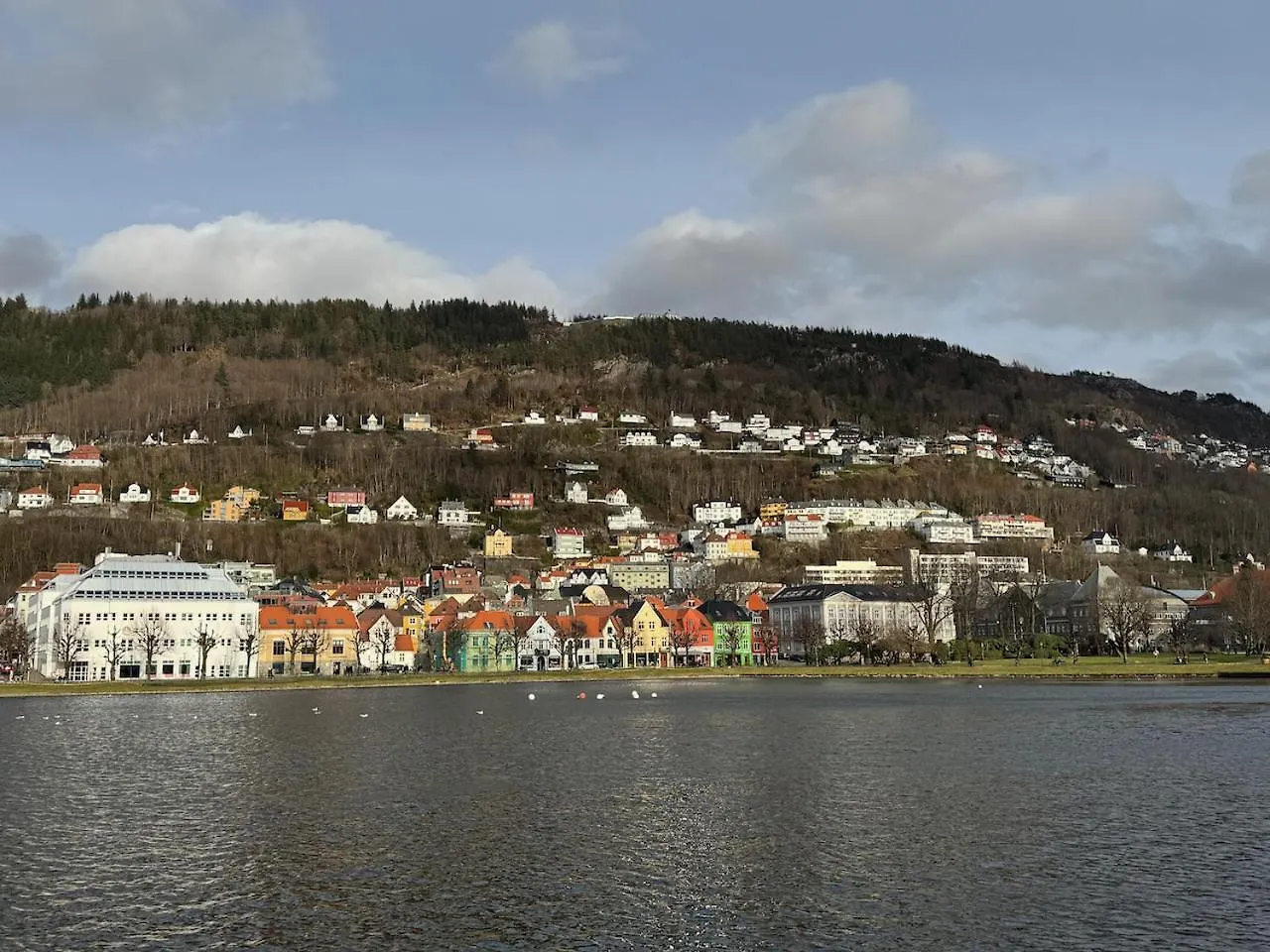 Lake View Apartment In Center Of Bergen - 3 Bedrooms