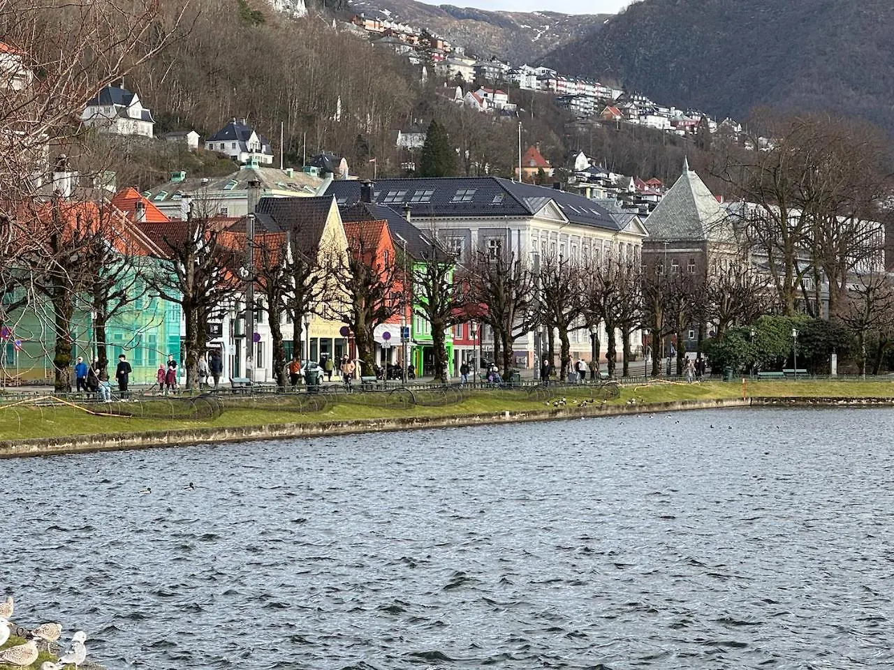 Lake View Apartment In Center Of Bergen - 3 Bedrooms