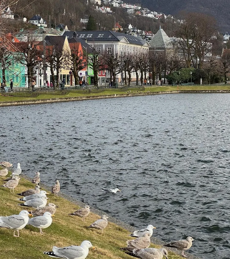 Lake View Apartment In Center Of Bergen - 3 Bedrooms
